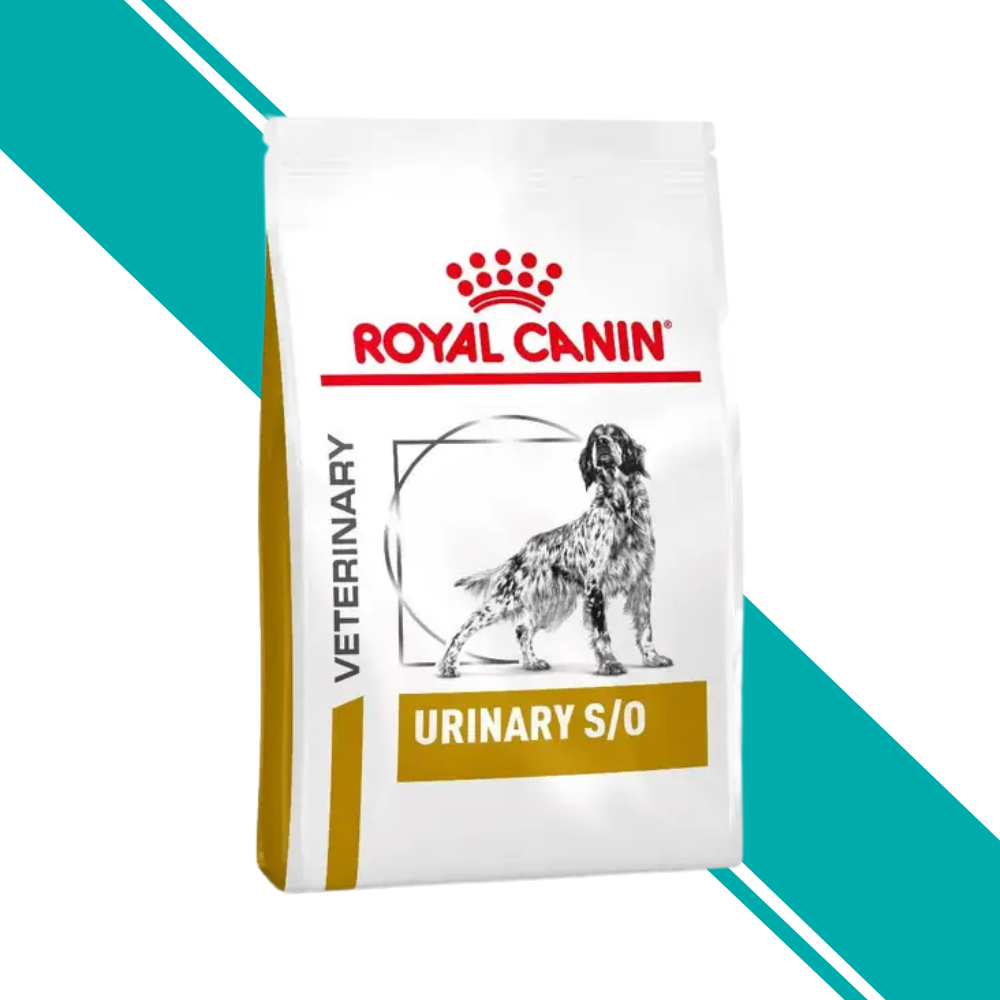 Royal Canin Veterinary Urinary S/O Dry Dog Food